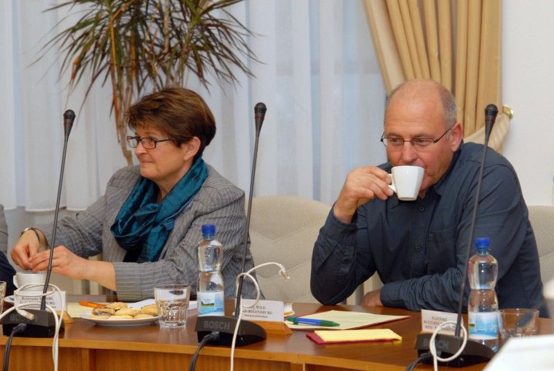 Velitele policie, vedoucí kasina, zástupce primátora, zaměstnance pracovního úřadu, pošty i kosmetického salonu z městečka Mini-Regensburg přivítali první listopadové odpoledne (2011) v zasedací místnosti Rady města Plzně primátor Martin Baxa a náměstkyně pro kulturu Eva Herinková.