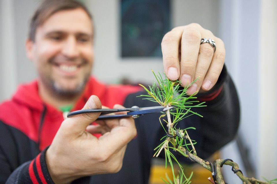 Stovky Plzeňanů zaujaly workshopy a přednášky s mistry tradičních japonských umění, které se uskutečnily v krajské metropoli od 1. do 7. října. Japonští lektoři z města Takasaki, držitelé významných kulturních ocenění, vedli dílny kaligrafie, bonsaje, ikebany i čajového obřadu, všechny byly plně obsazeny, organizátoři evidovali i desítky náhradníků. Akce byla hlavním bodem oslav 25 letého partnerství města Plzně s více než devět tisíc kilometrů vzdáleným Takasaki, smlouvu obou měst podepsali primátoři 1. srpna 1990. (foto: V. Štaif, 2.-7.10.2015)