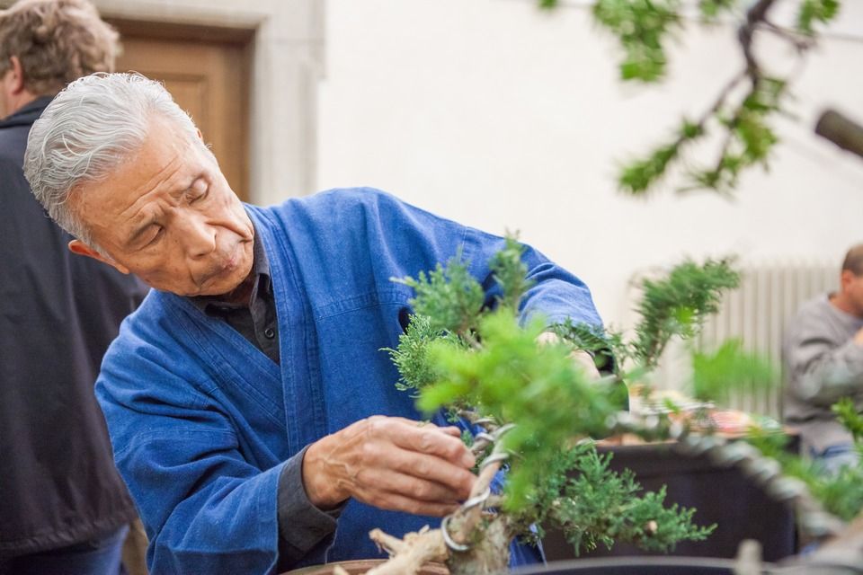 Stovky Plzeňanů zaujaly workshopy a přednášky s mistry tradičních japonských umění, které se uskutečnily v krajské metropoli od 1. do 7. října. Japonští lektoři z města Takasaki, držitelé významných kulturních ocenění, vedli dílny kaligrafie, bonsaje, ikebany i čajového obřadu, všechny byly plně obsazeny, organizátoři evidovali i desítky náhradníků. Akce byla hlavním bodem oslav 25 letého partnerství města Plzně s více než devět tisíc kilometrů vzdáleným Takasaki, smlouvu obou měst podepsali primátoři 1. srpna 1990. (foto: V. Štaif, 2.-7.10.2015)