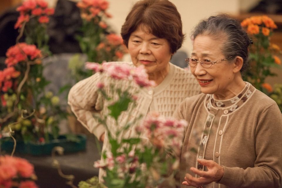 Stovky Plzeňanů zaujaly workshopy a přednášky s mistry tradičních japonských umění, které se uskutečnily v krajské metropoli od 1. do 7. října. Japonští lektoři z města Takasaki, držitelé významných kulturních ocenění, vedli dílny kaligrafie, bonsaje, ikebany i čajového obřadu, všechny byly plně obsazeny, organizátoři evidovali i desítky náhradníků. Akce byla hlavním bodem oslav 25 letého partnerství města Plzně s více než devět tisíc kilometrů vzdáleným Takasaki, smlouvu obou měst podepsali primátoři 1. srpna 1990. (foto: V. Štaif, 2.-7.10.2015)