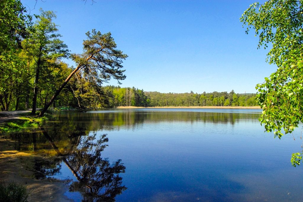 Bolevecká rybniční soustava (foto: M. Pecuch)