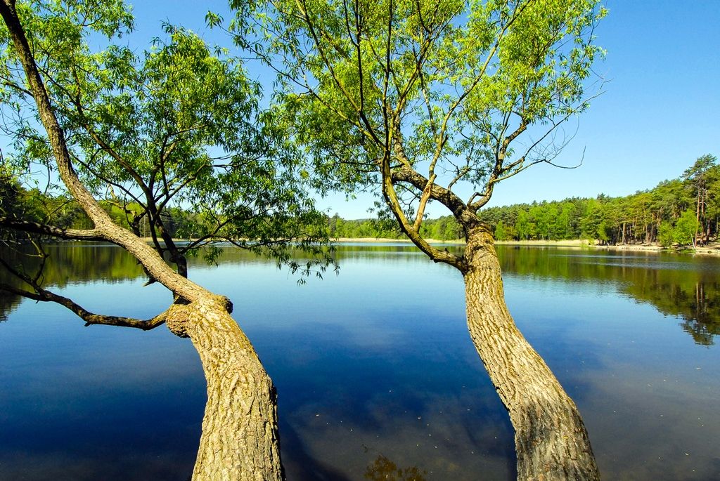 Bolevecká rybniční soustava (část)