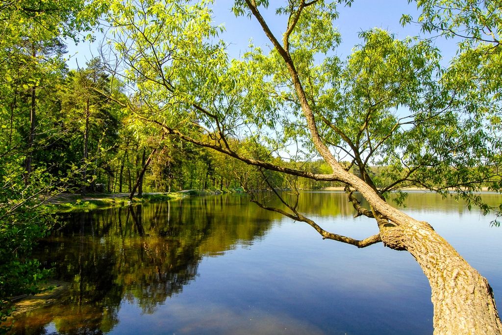Bolevecká rybniční soustava (foto: M. Pecuch)