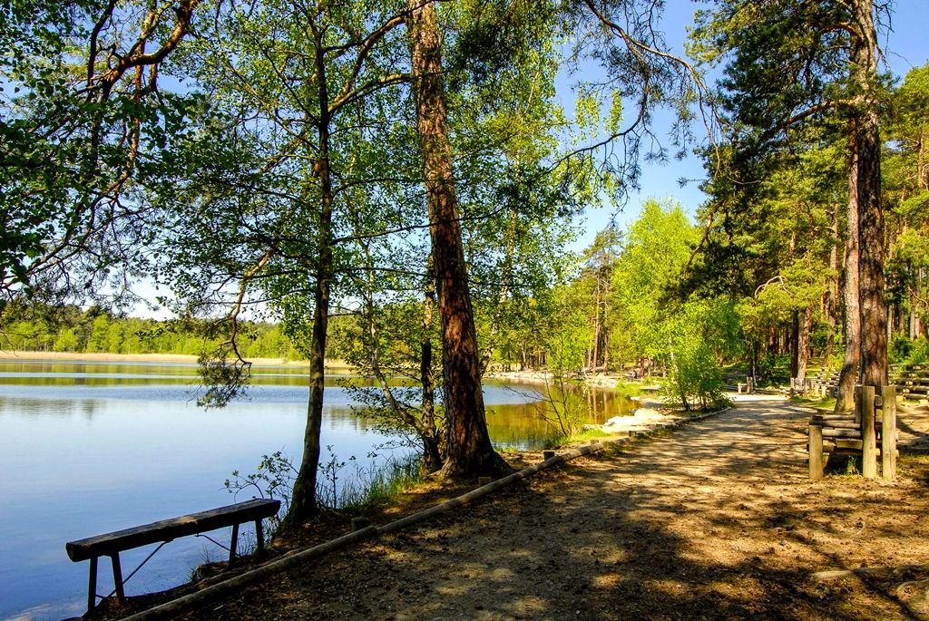 Bolevecká rybniční soustava (foto: M. Pecuch)