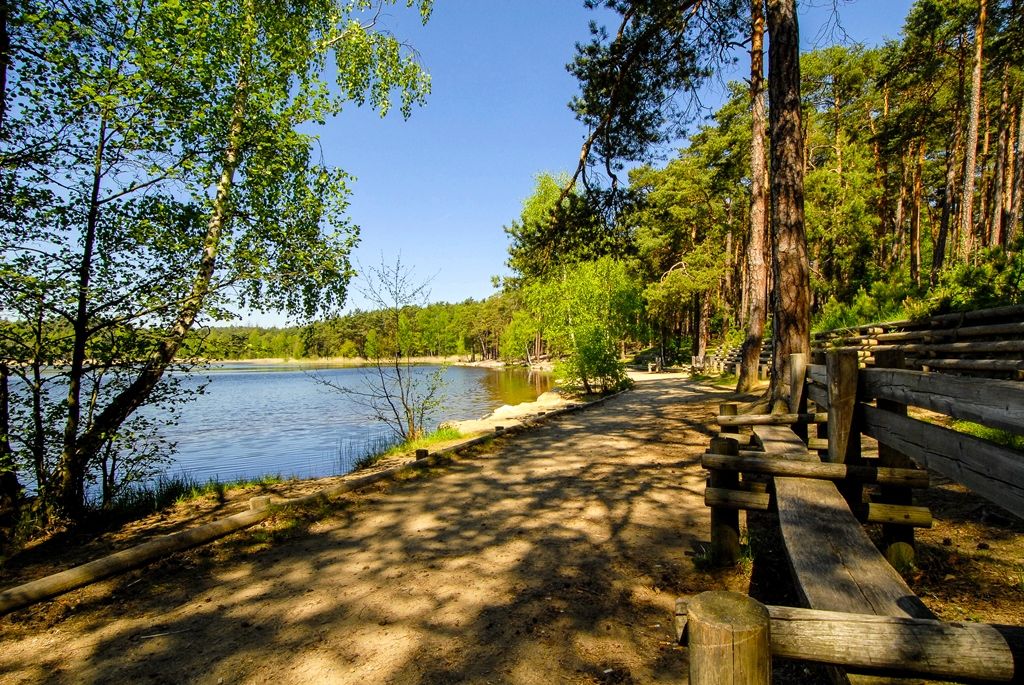 Bolevecká rybniční soustava (foto: M. Pecuch)