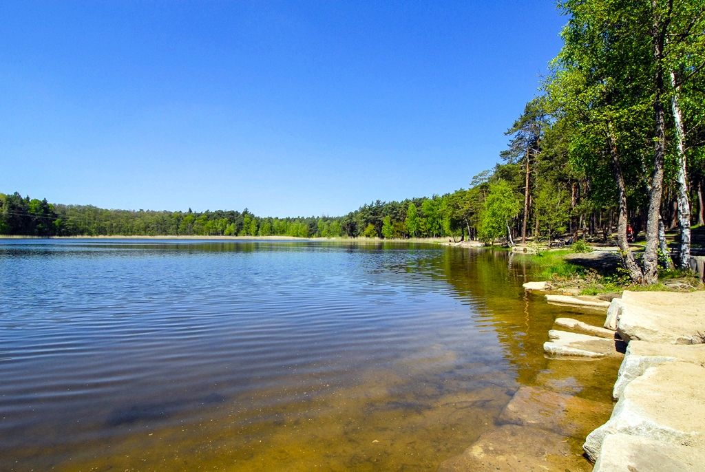 Bolevecká rybniční soustava (foto: M. Pecuch)