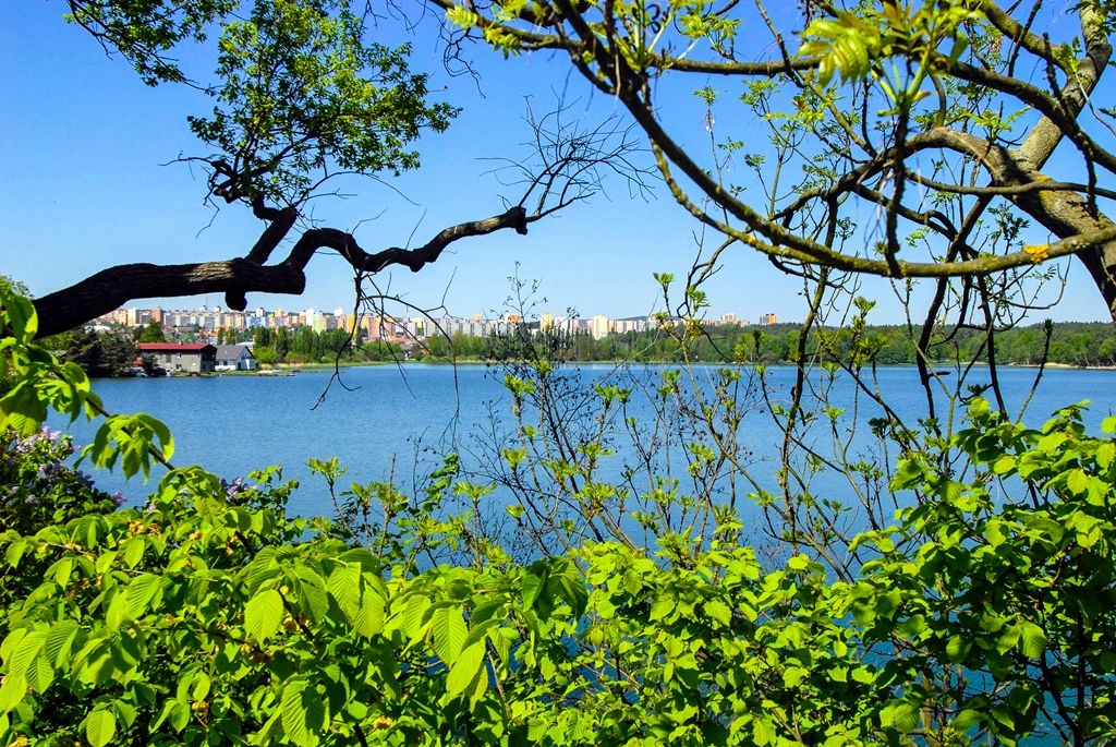 Bolevecká rybniční soustava (foto: M. Pecuch)