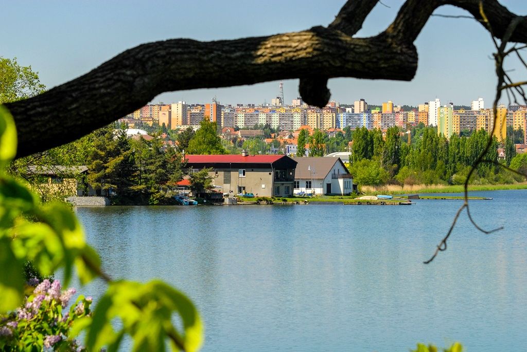 Bolevecká rybniční soustava (foto: M. Pecuch)