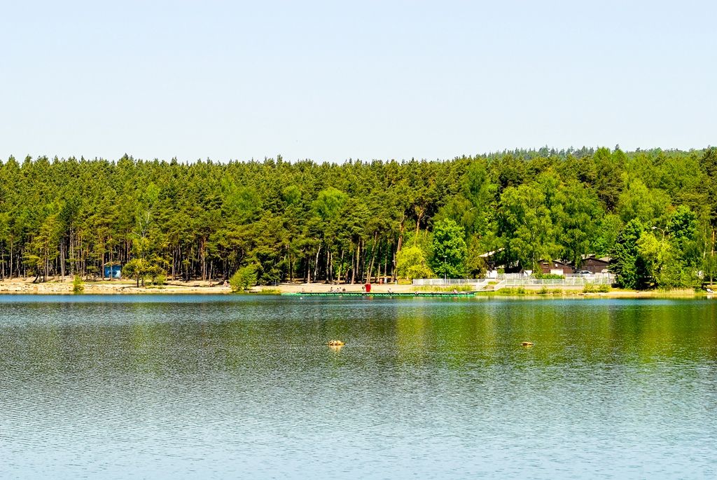 Bolevecká rybniční soustava (foto: M. Pecuch)
