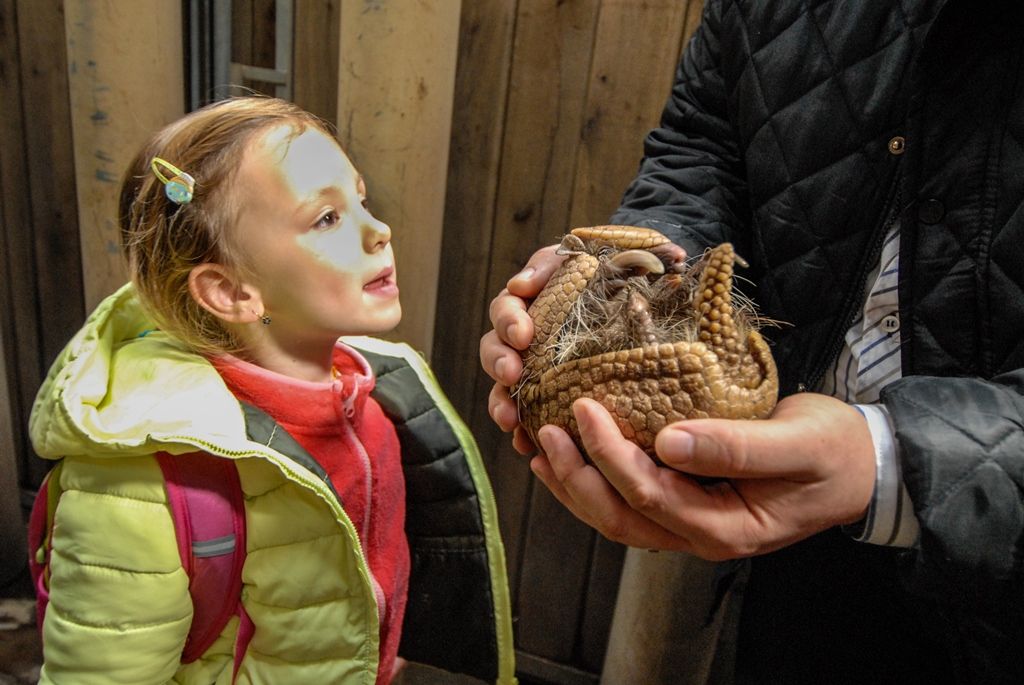 Tři mláďata plzeňské zoo mají nově své kmotry