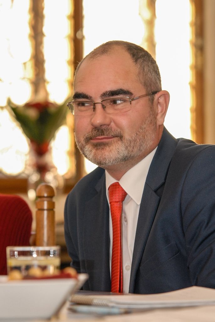 Za účelem realizace francouzského projektu podporujícího mládež ze znevýhodněných čtvrtí města zavítala do Plzně náměstkyně primátora pro sociální oblast a správu nemovitostí partnerského města Limoges Catherine Mauguien-Sicard. Před ukázkou tvorby francouzských studentů, na které spolupracovali s žáky Gymnázia Luďka Pika a Masarykova gymnázia, navštívila plzeňskou radnici a setkala se s primátorem města Martinem Zrzaveckým. Ten ocenil záměry limogeské radnice a kladně ohodnotil projekt, jenž dává šanci mladým lidem ze sociálně slabých rodin. (foto: 23.10.2015)