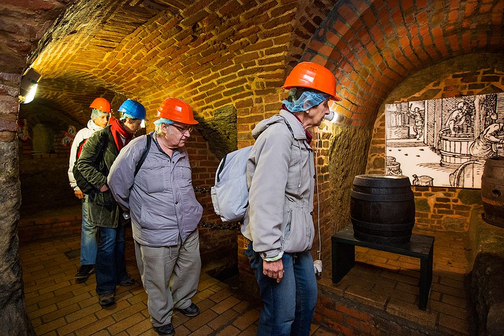 Zdarma nebo za symbolické vstupné 28 korun měli lidé možnost 28. 10. 2015 od dopoledních hodin navštívit vyhledávané turistické cíle, naplněny byly komentované prohlídky radnice, Měšťanské besedy či interiérů Adolfa Loose. Nejen připravený program, ale i podvečerní slavnostní shromáždění u Památníku národního osvobození na náměstí T. G. Masaryka připomnělo 97. výročí založení Československého státu. Za účasti zástupců Poslanecké sněmovny a Senátu Parlamentu České republiky, Plzeňské kraje, města Plzně a dalších institucí vzpomněl primátor města Martin Zrzavecký na významný den naší historie i na takzvané „muže října“, kteří se stali základem úspěchu a prosperity tehdejšího Československa.