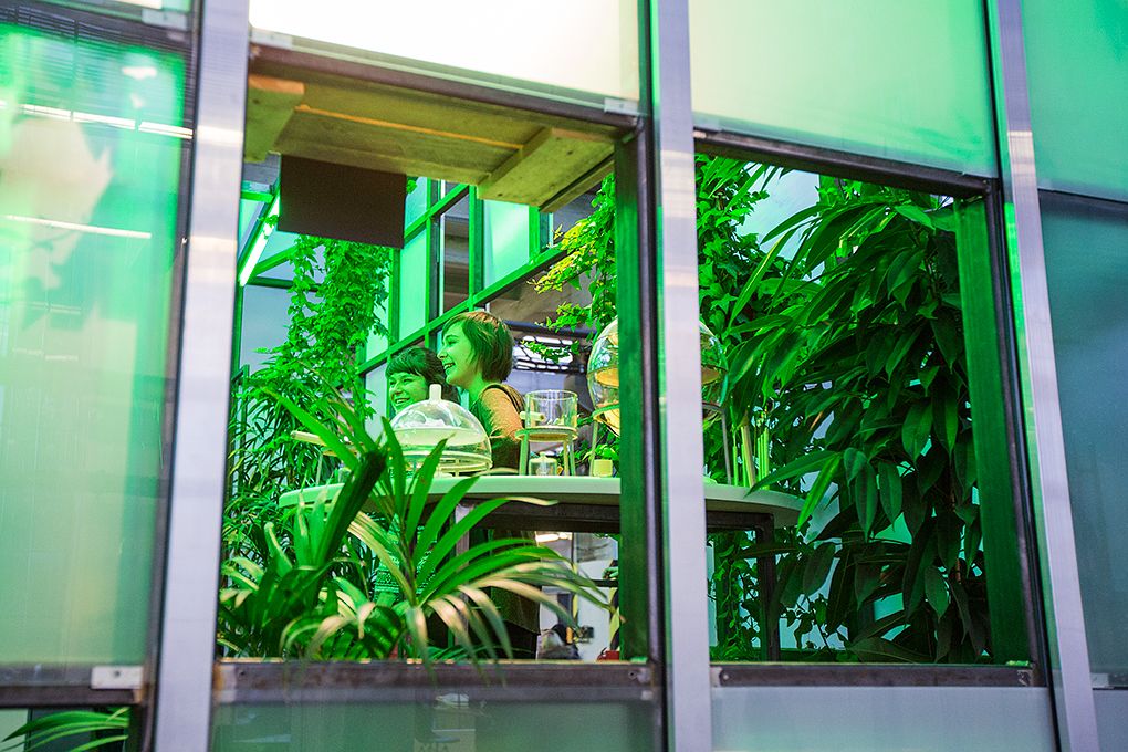 Zdarma nebo za symbolické vstupné 28 korun měli lidé možnost 28. 10. 2015 od dopoledních hodin navštívit vyhledávané turistické cíle, naplněny byly komentované prohlídky radnice, Měšťanské besedy či interiérů Adolfa Loose. Nejen připravený program, ale i podvečerní slavnostní shromáždění u Památníku národního osvobození na náměstí T. G. Masaryka připomnělo 97. výročí založení Československého státu. Za účasti zástupců Poslanecké sněmovny a Senátu Parlamentu České republiky, Plzeňské kraje, města Plzně a dalších institucí vzpomněl primátor města Martin Zrzavecký na významný den naší historie i na takzvané „muže října“, kteří se stali základem úspěchu a prosperity tehdejšího Československa.