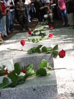 Fotografie z dalších pietních aktů konaných u příležitosti osvobození západních Čech americkou armádou