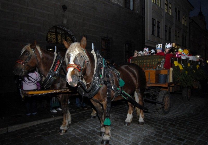 Tradiční Tříkrálovou sbírku dnes (3.1.2012) odpoledne zahájil v mázhauzu plzeňské radnice biskup Mons. František Radkovský. Jako každý rok ke koledníkům promluvil a požehnal jim. Po Plzni tak budou do 14. ledna chodit desítky koledníků. Jimi vybrané finanční prostředky se věnují na charitativní účely. Rozdělovány jsou podle předem stanovených kritérií, šedesát pět procent zůstává vždy v místě vybrání.

Slavnostního zahájení na radnici, které poté pokračovalo hereckým ztvárněním vánočního příběhu v katedrále sv. Bartoloměje, se zúčastnil primátor Martin Baxa.

Tříkrálovou sbírku organizuje Diecézní charita Plzeň od roku 2000. Minulý rok se při ní v Plzeňské diecézi vybralo přes 3 miliony korun.