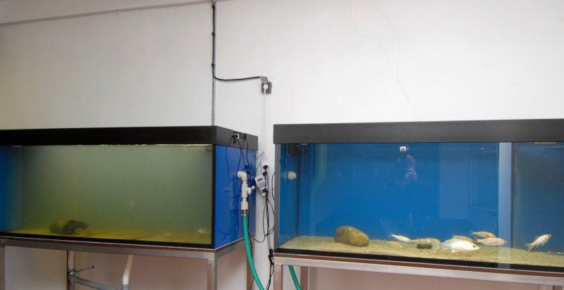 V souvislosti s připravovaným projektem rekonstrukce a modernizace úpravny vody v Plzni na Homolce za 1,2 miliardy korun se dnes (17.1.2012) konalo pracovní jednání, při kterém se členové Rady města Plzně a zástupci pracovní skupiny Zastupitelstva města Plzně ustavené k projektu mohli podrobně seznámit s chystanou investicí. Součástí setkání byla také prohlídka areálu vodárny, včetně historické budovy ÚPRAVNY VODY I z roku 1926, ÚPRAVNY VODY II z šedesátých let a ÚPRAVNY VODY III, která byla vybudována v 90. letech.