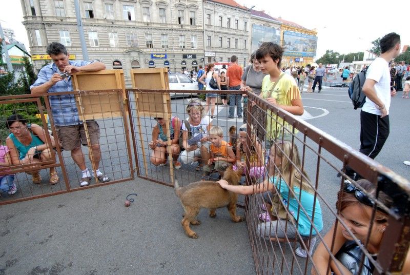 Den s Integrovaným záchranným systémem proběhl 27.8.2009 v prostoru Palackého náměstí