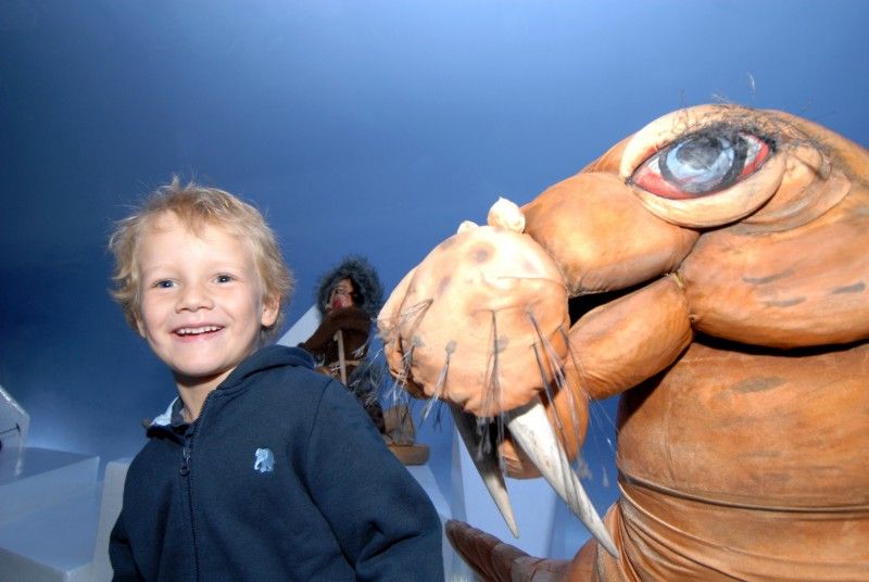 Expozice a tvůrčí dílny mapují výjimečnou historii i současnost plzeňského loutkářství, ale interaktivním způsobem zapojí dětské i dospělé návštěvníky.