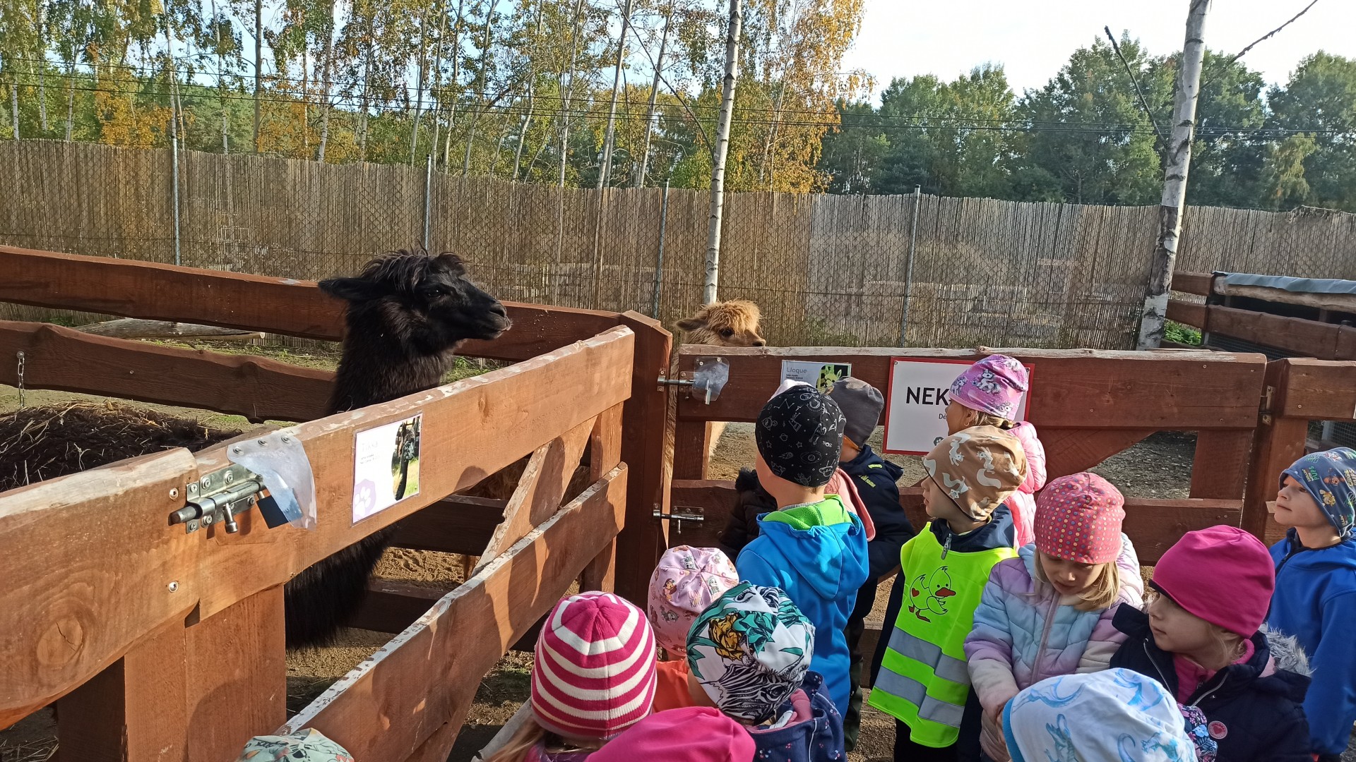16.11.2025 Farmapark u Toma