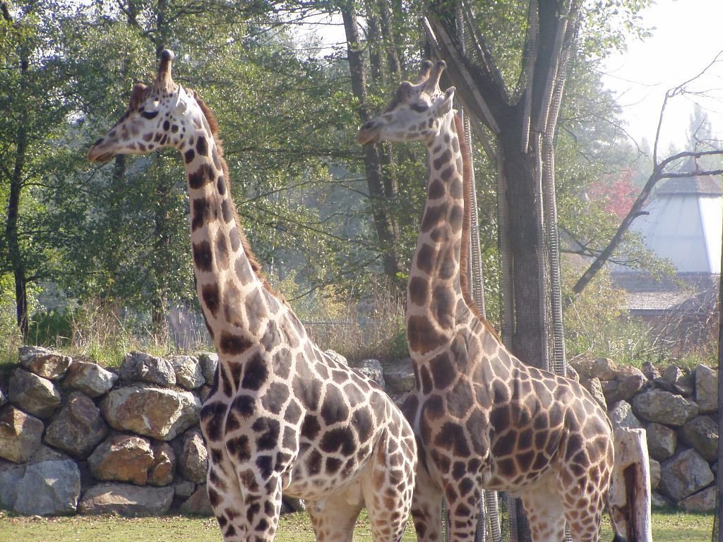 Návštěva ZOO