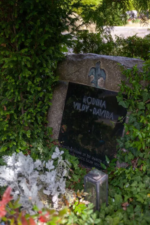 David Vilém „Vilda“