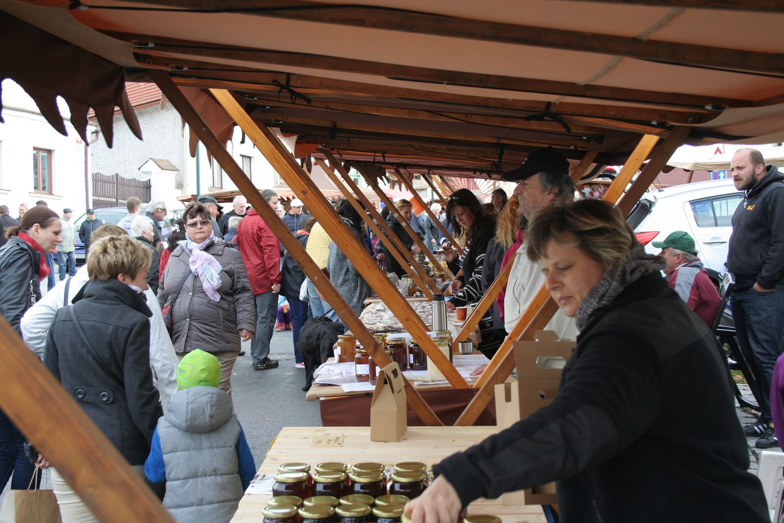 Honey fair 2017