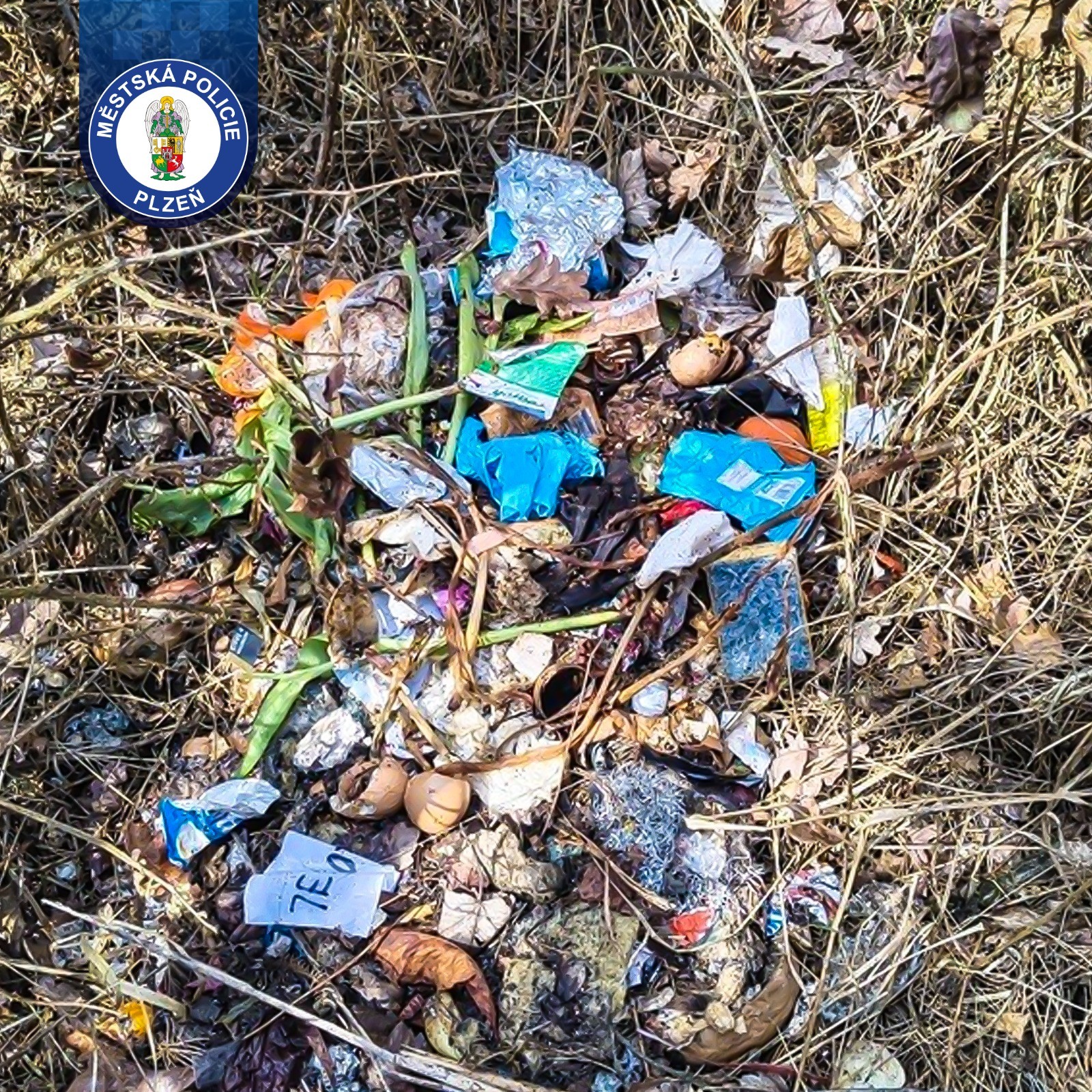 Les není skládka a ani odkladiště odpadu