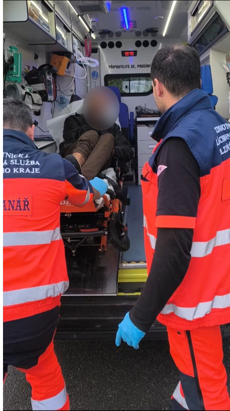 Rušné ráno u rybníka