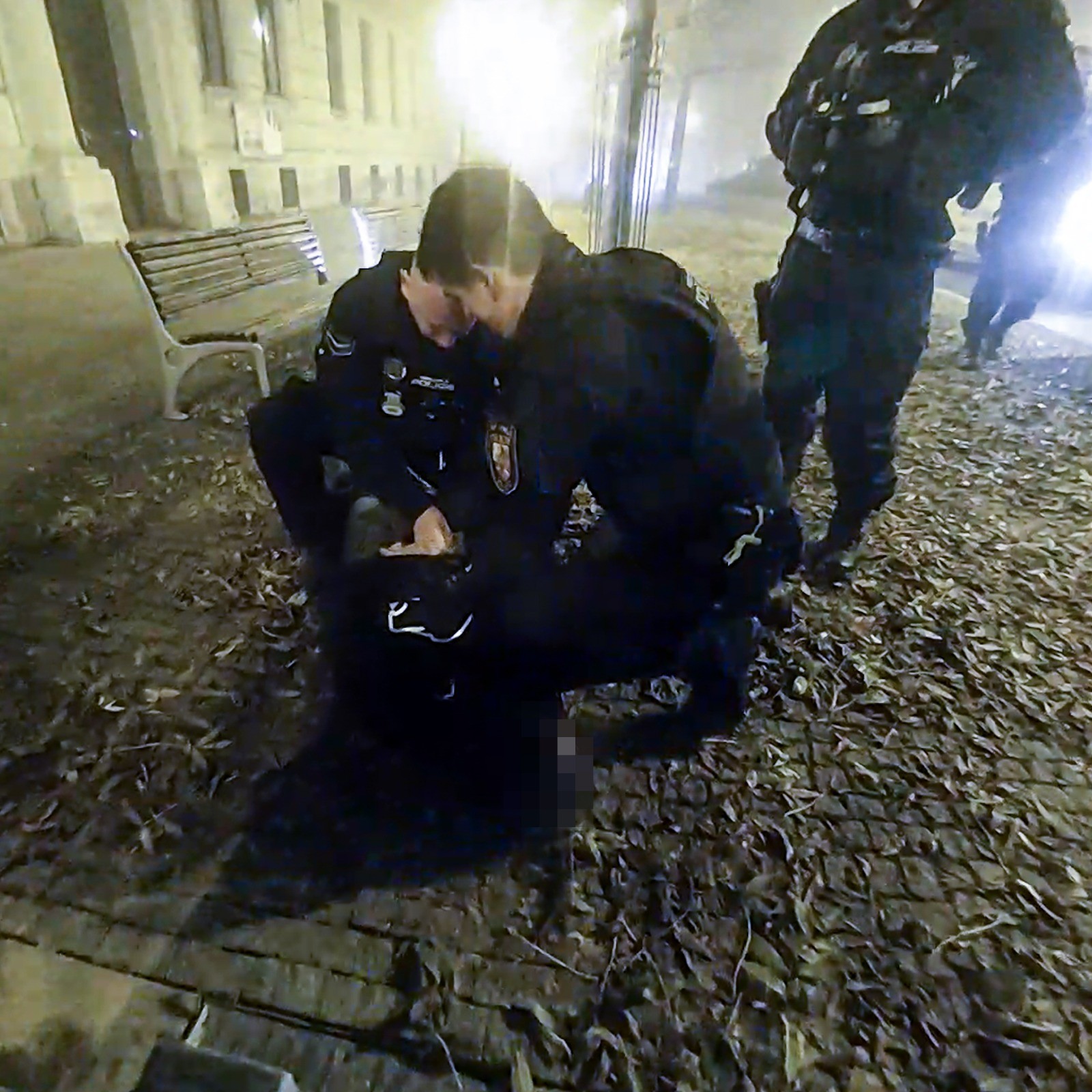 Z lavičky na záchytku