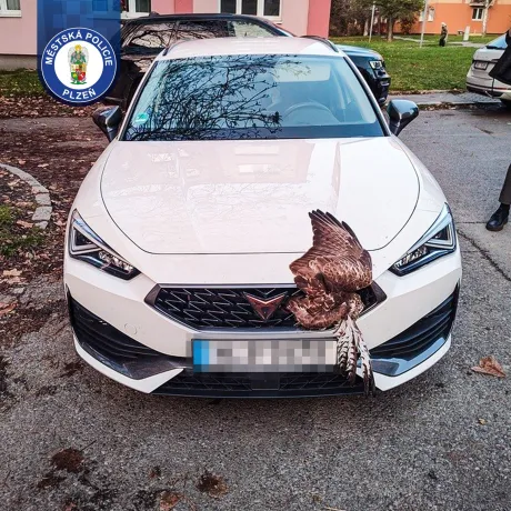 Kuriózní „dopravní nehoda“, kterou opravdu nevídáme často