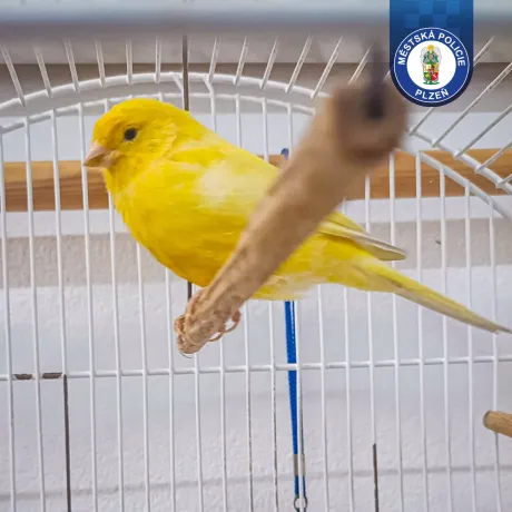 Nečekaný cestující na Jižním nádraží