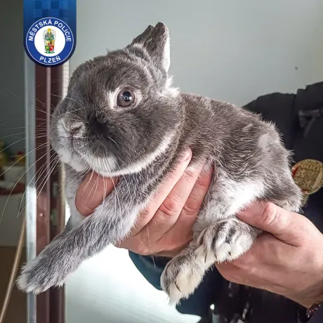 WhatsApp Image 2026-03-28 at 11.24.22