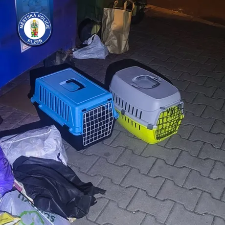  Tohle není způsob, jak se zbavit zvířete