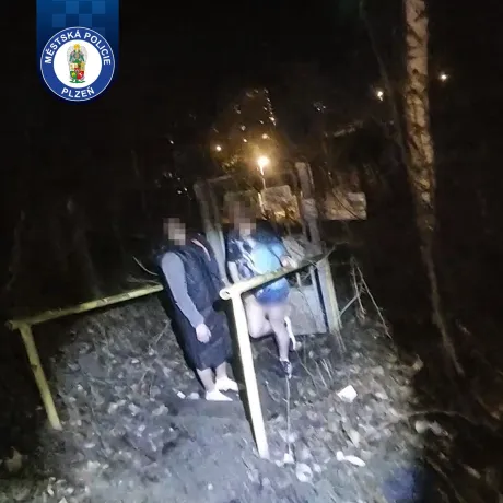 Romantika ve křoví se muži dost prodražila