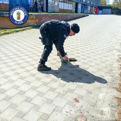 WhatsApp Image 2026-04-07 at 09.36.02 (2)