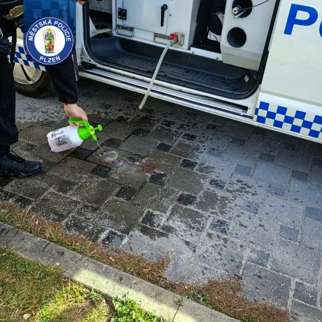 WhatsApp Image 2026-04-07 at 09.36.02 (1)