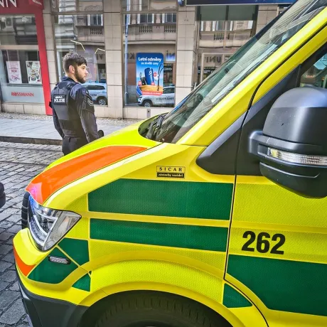 Muže bodla vosa, bojoval s vážnou alergickou reakcí