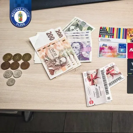 Zachráněná vánoční nálada i peněženka