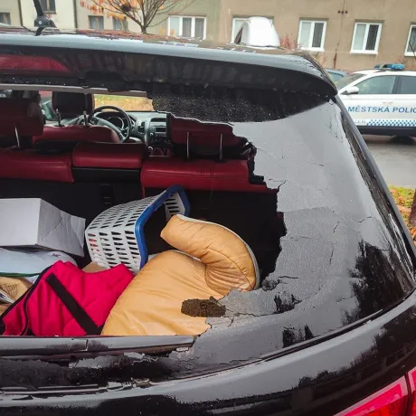 WhatsApp Image 2025-11-04 at 12.12.13