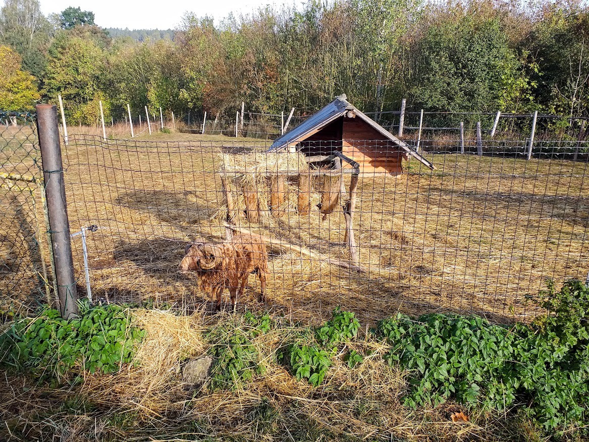 Barevný podzim na farmě