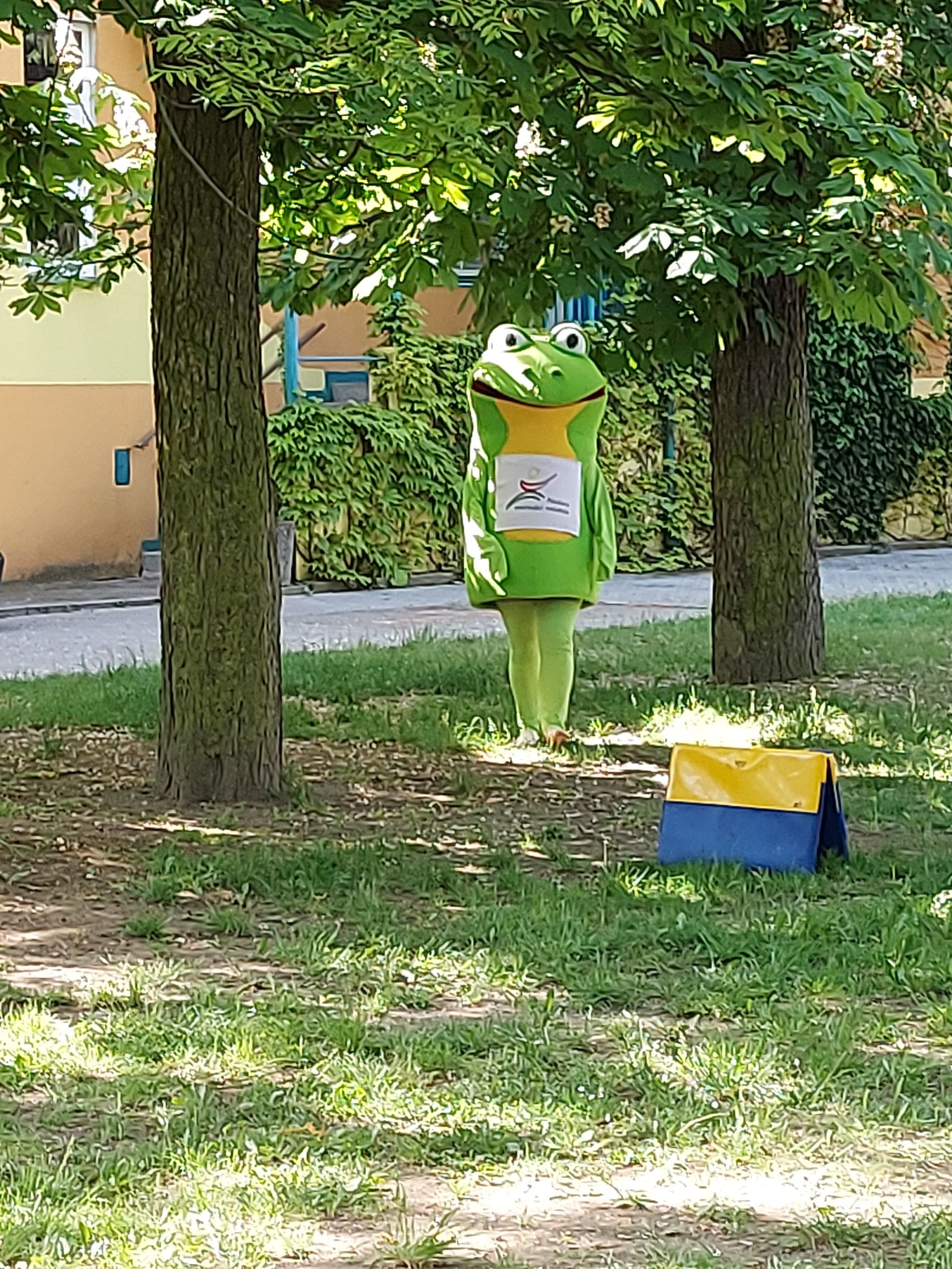 Žabák to je kamarád, s ním sportuje každý rád.....