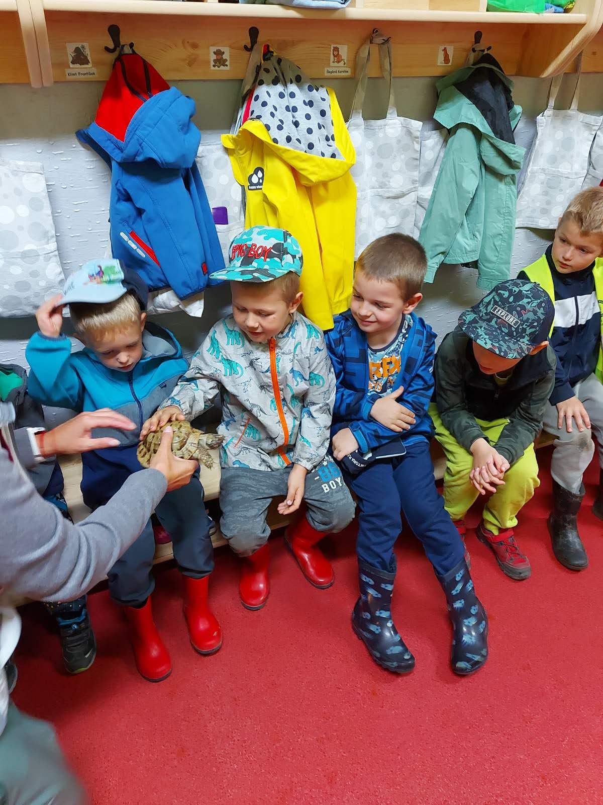 Poznáváme naše želvičky Matyldu a Týnouše