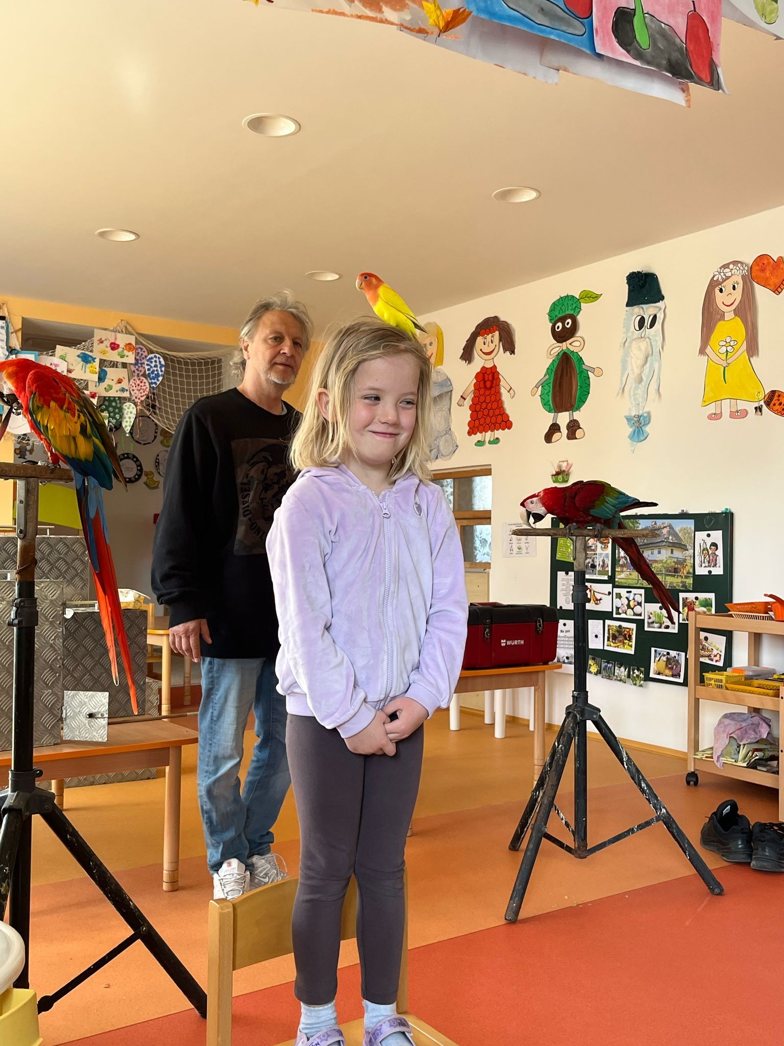 Papoušci u nás ve školce