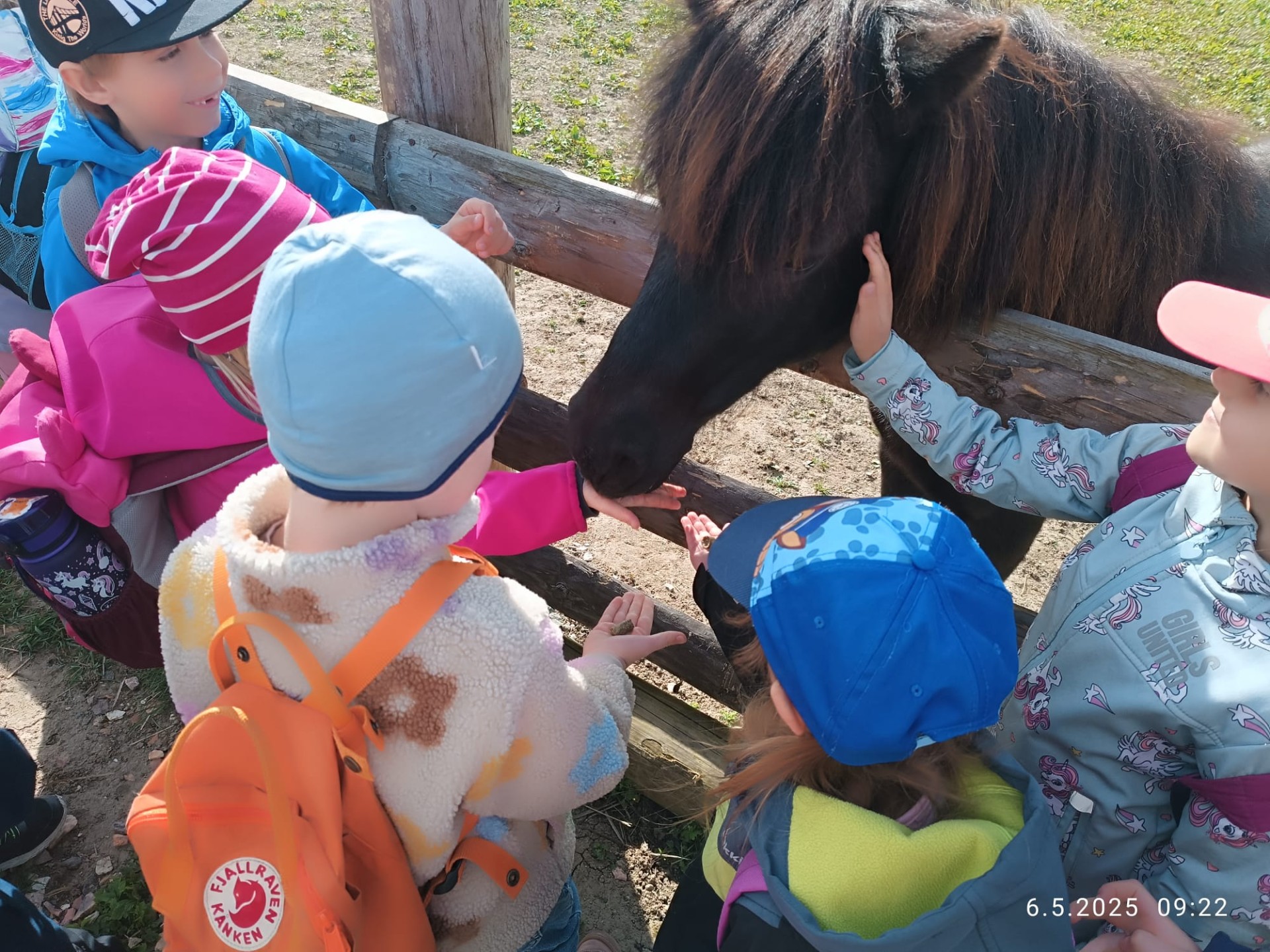 Farma park Dobřany dolní třída