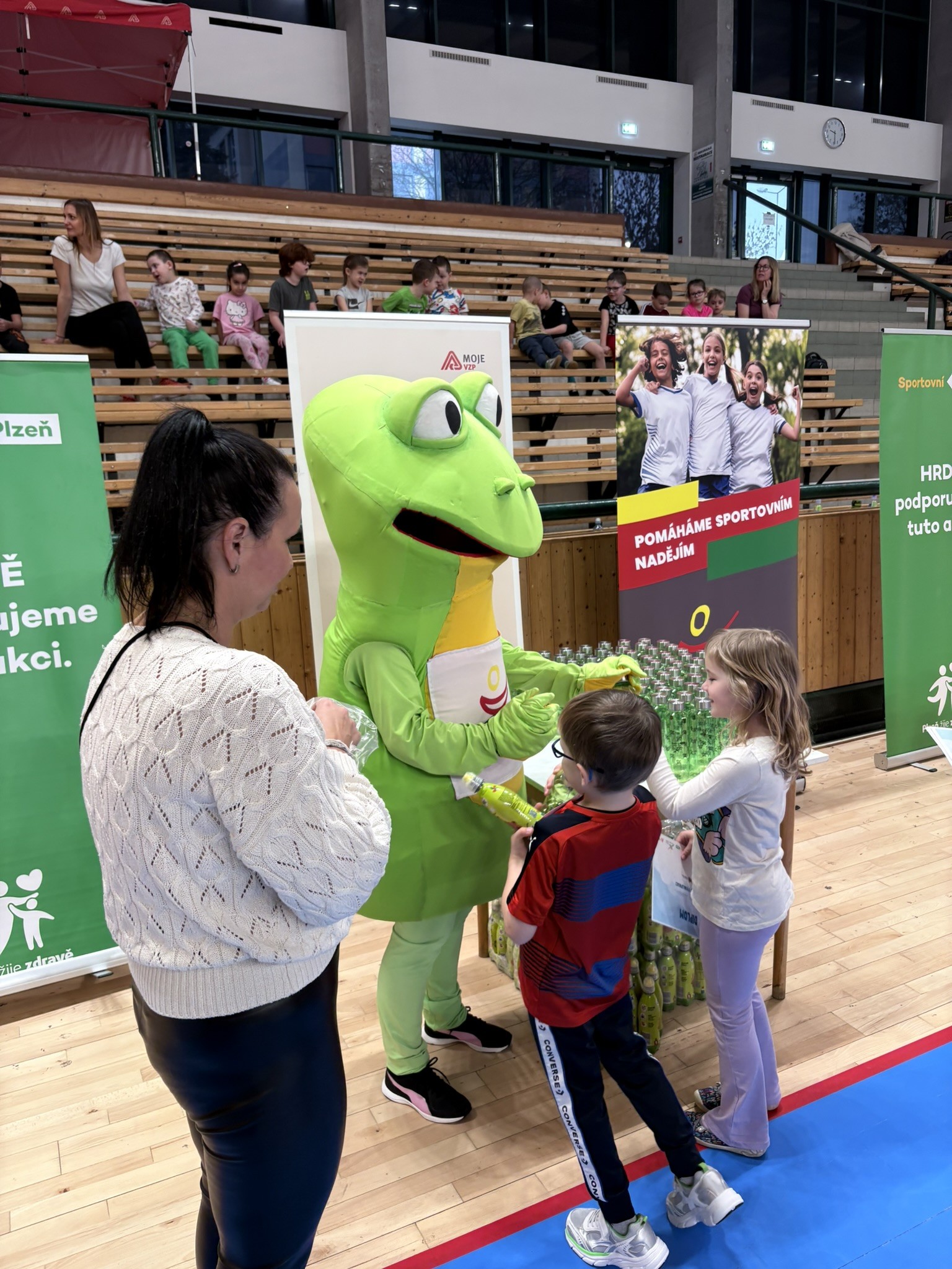 Oblastní kolo SHMŠ