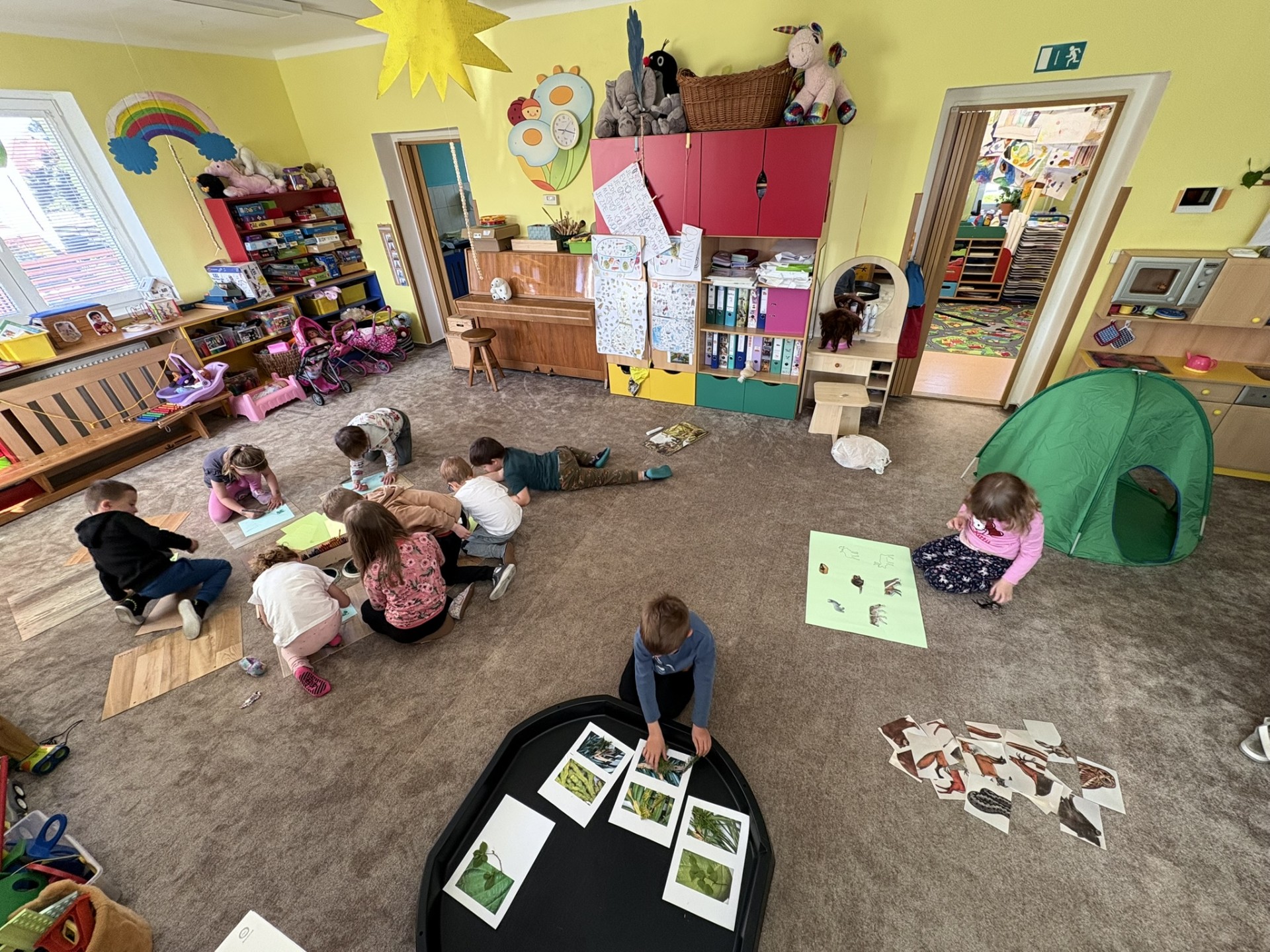 Centra aktivit "finský les"