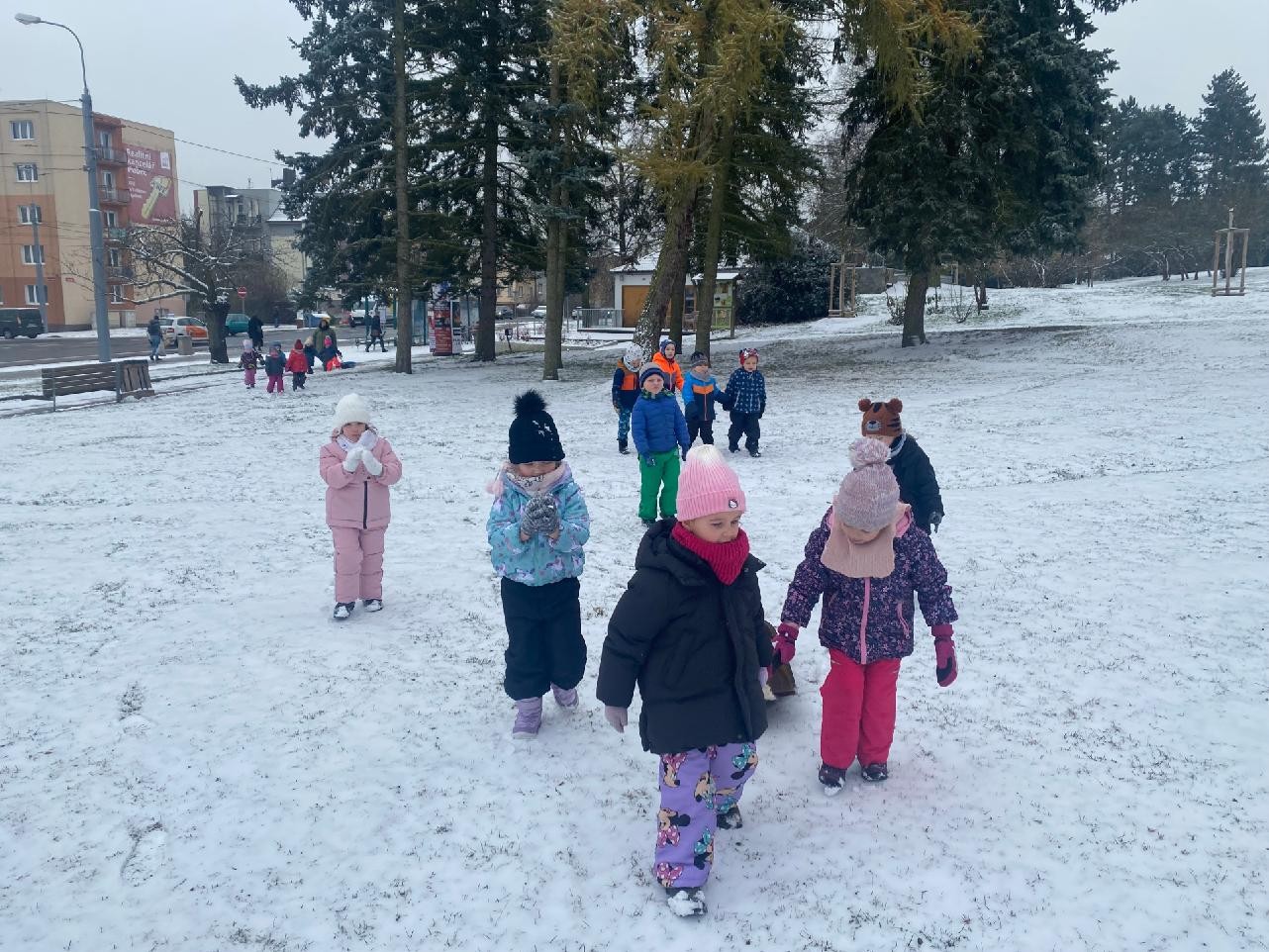 Motýlci a první sníh