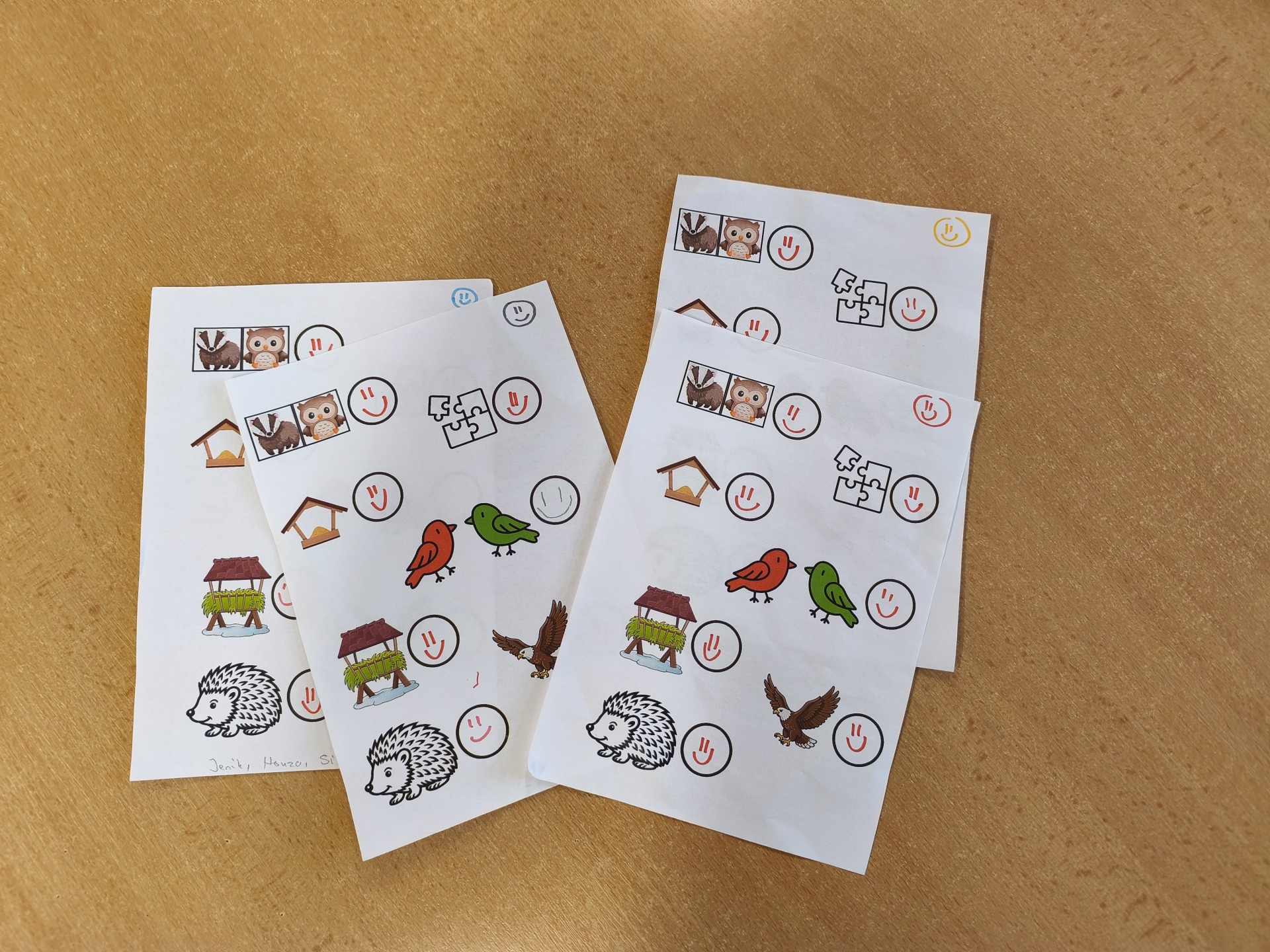 Zvířata - týmové úkoly