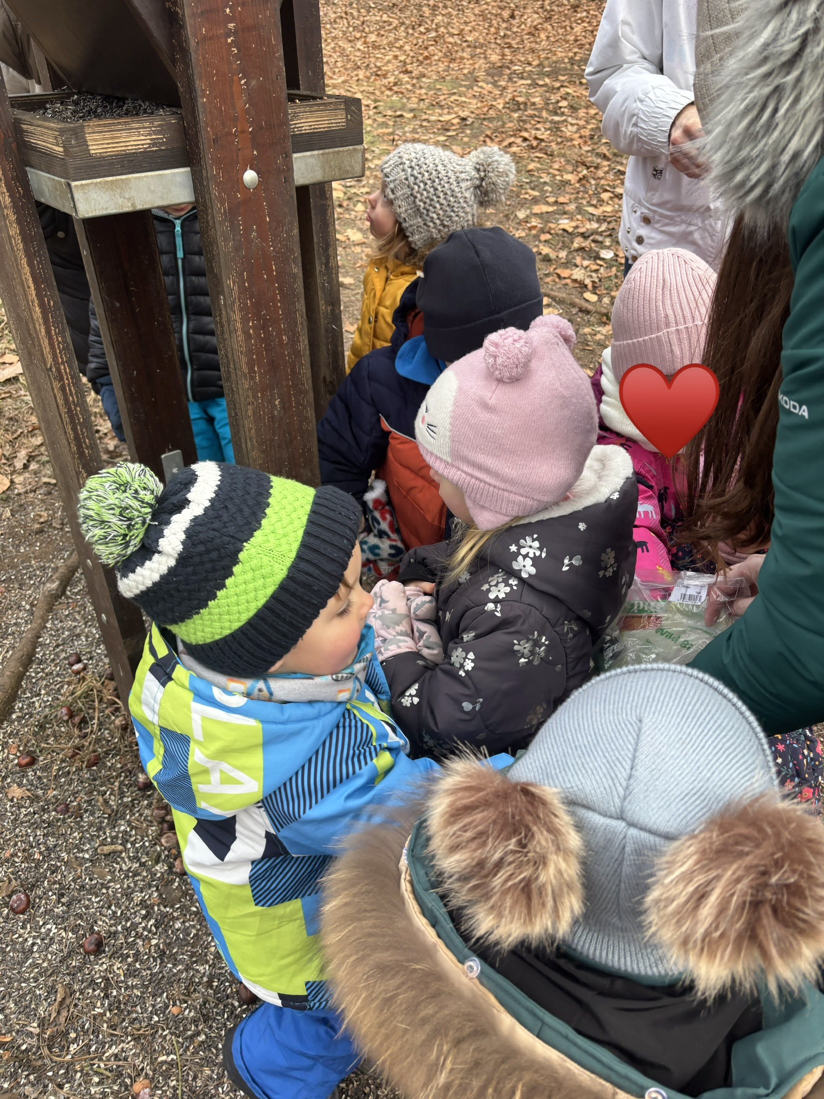 Stavíme krmítka a krmíme ptáčky