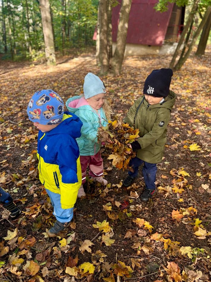 Motýlci v listí